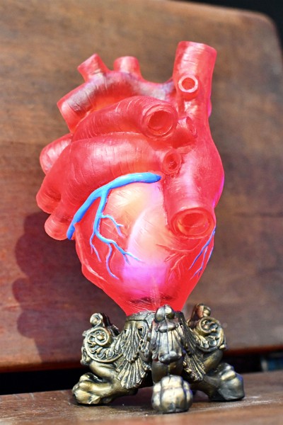 Mounted Heart