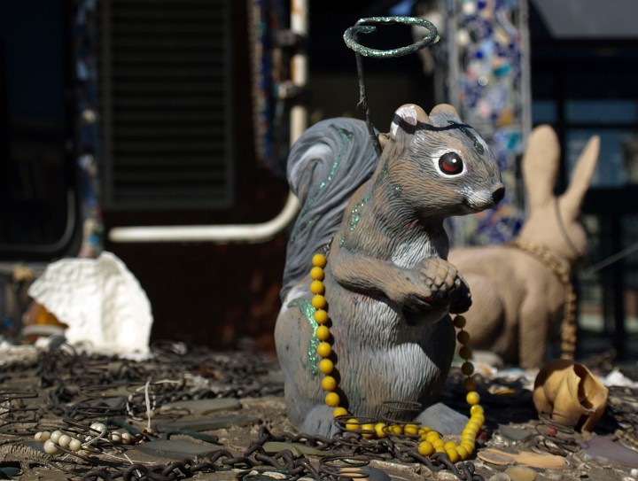 Saintly Squirrel Saintly Squirrel