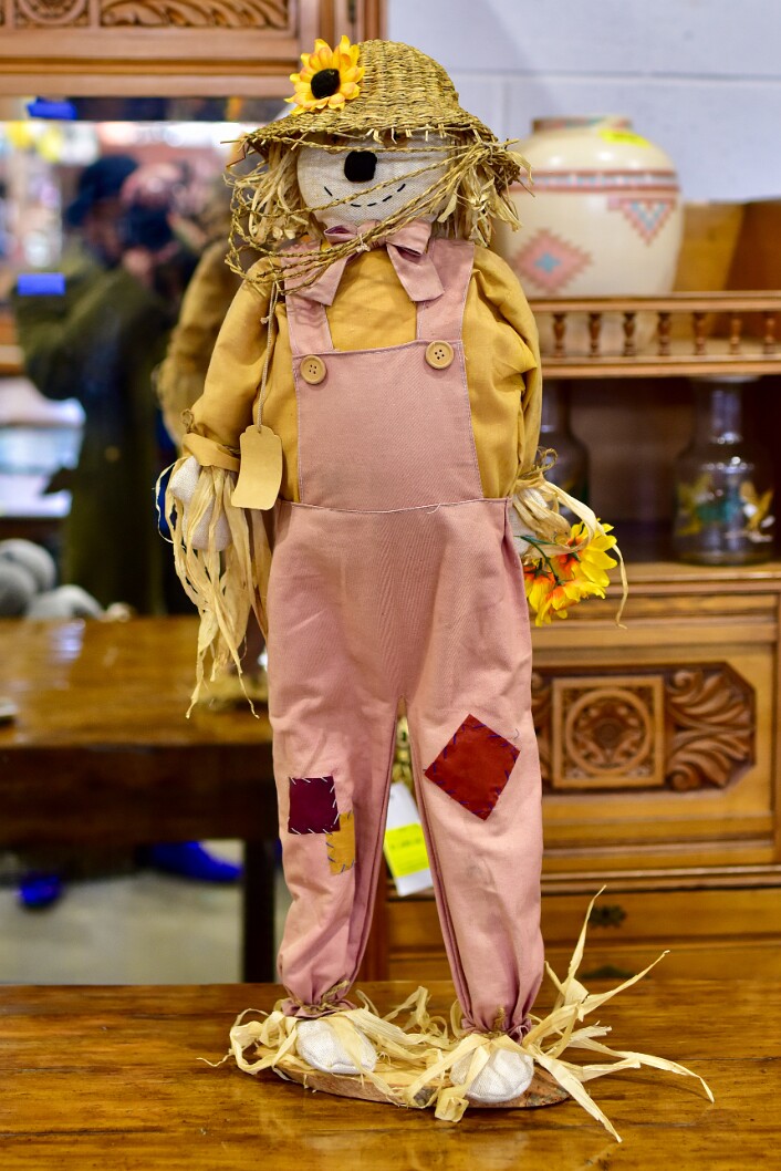 Little Scarecrow