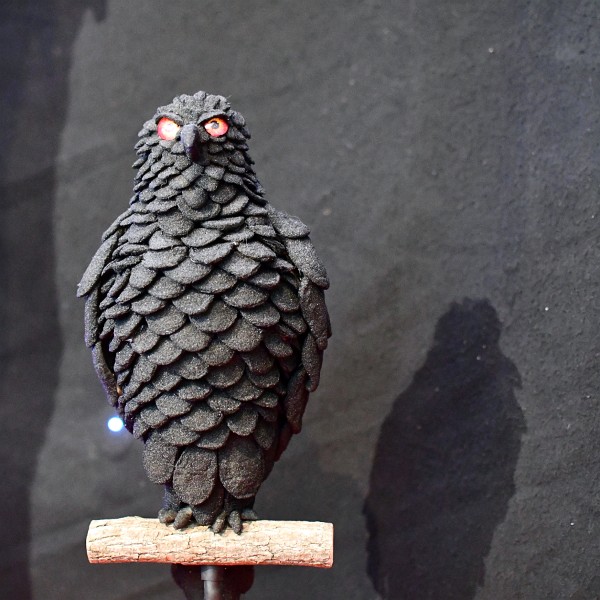 Peep Raven by Christian Twamley