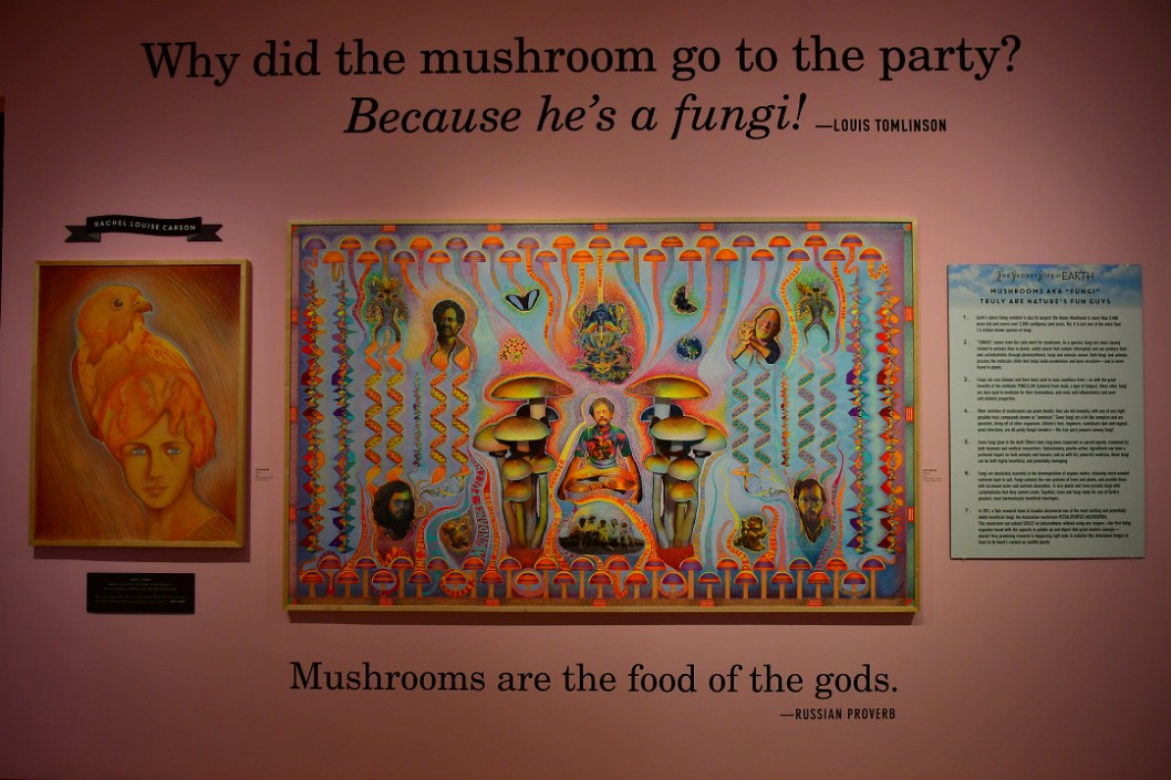 Why Did The Mushroom Go to the Party