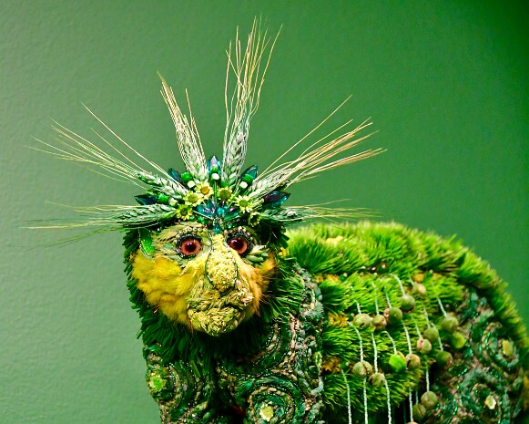 Johanna Burke- Another Green World