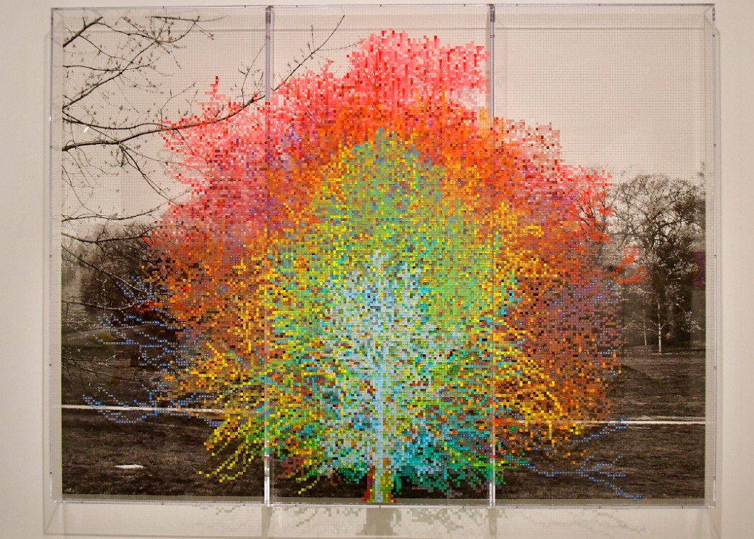 Numbers and Trees- Central Park Series I- Tree No. 9, Henry 2016 by Charles Gaines