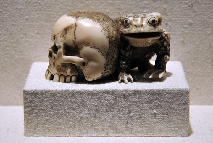 Skull and Toad Skull and Toad