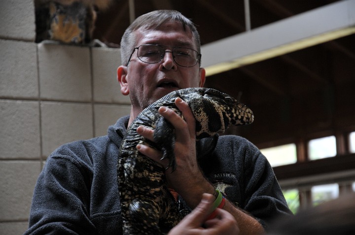 Holding a Tegu Holding a Tegu