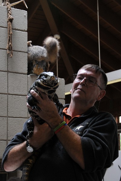 The Tegu Faces the Crowd The Tegu Faces the Crowd