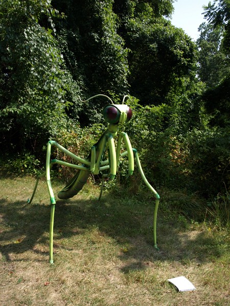 Mantis by Charles Winkler Mantis by Charles Winkler