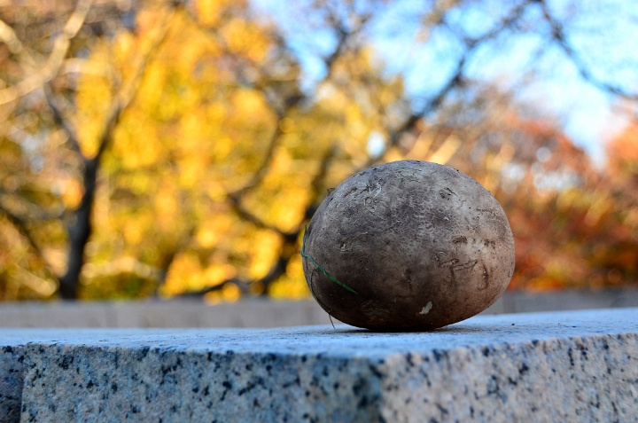 Mushroom or Potato Mushroom or Potato