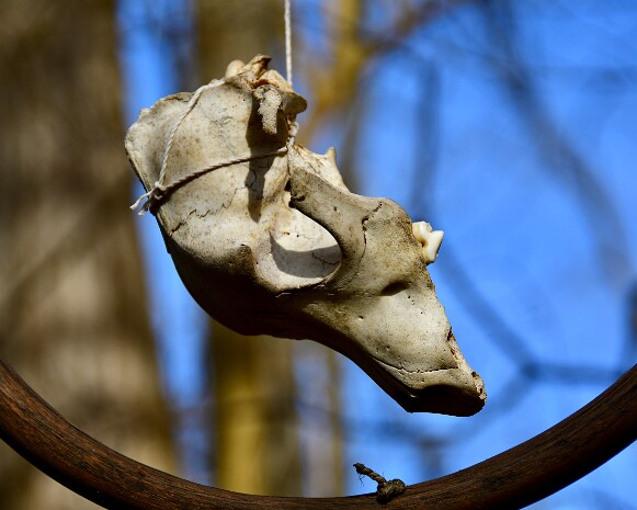 Nature Art in the Park