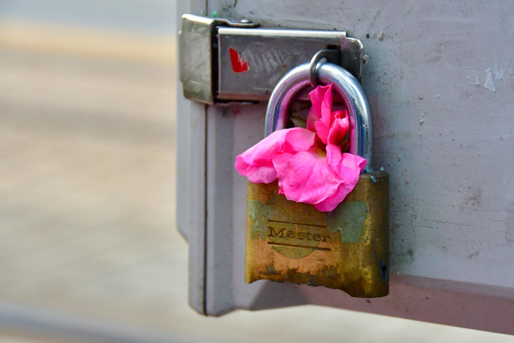 Flower Lock