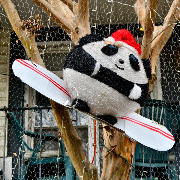 Snowboarding Panda