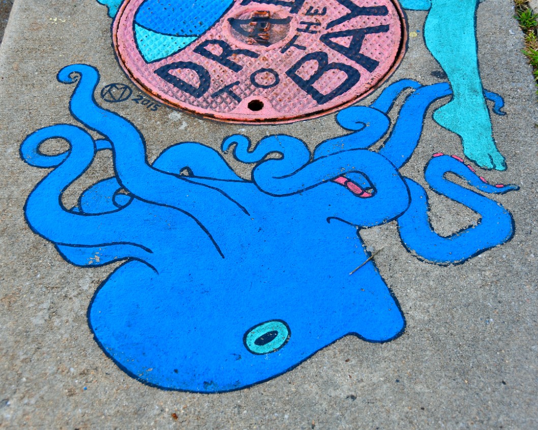 Octopus in Blue